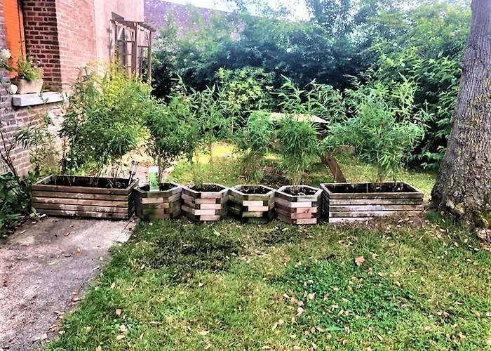 De France - La Normandeuse Dom wakacyjny Fallencourt